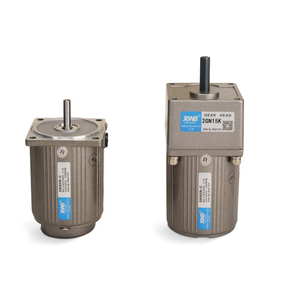 微型交流減速電機6W