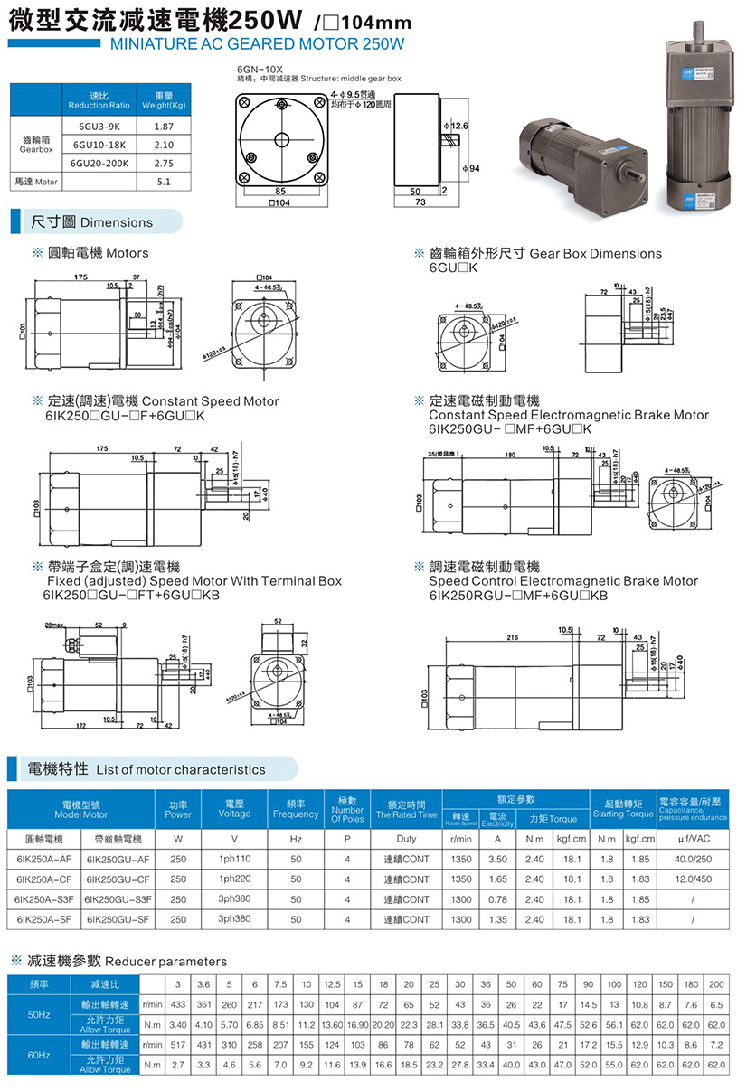 微型交流減速電機250W